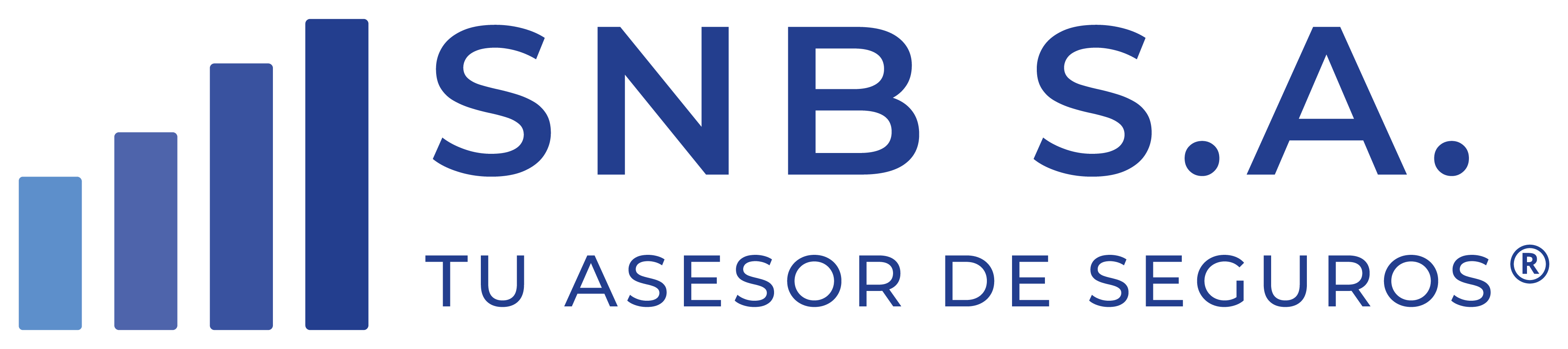 SNB S.A. — Tu Asesor de Seguros